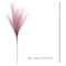 Pink Ombre Pampas Stem by Ashland&#xAE;